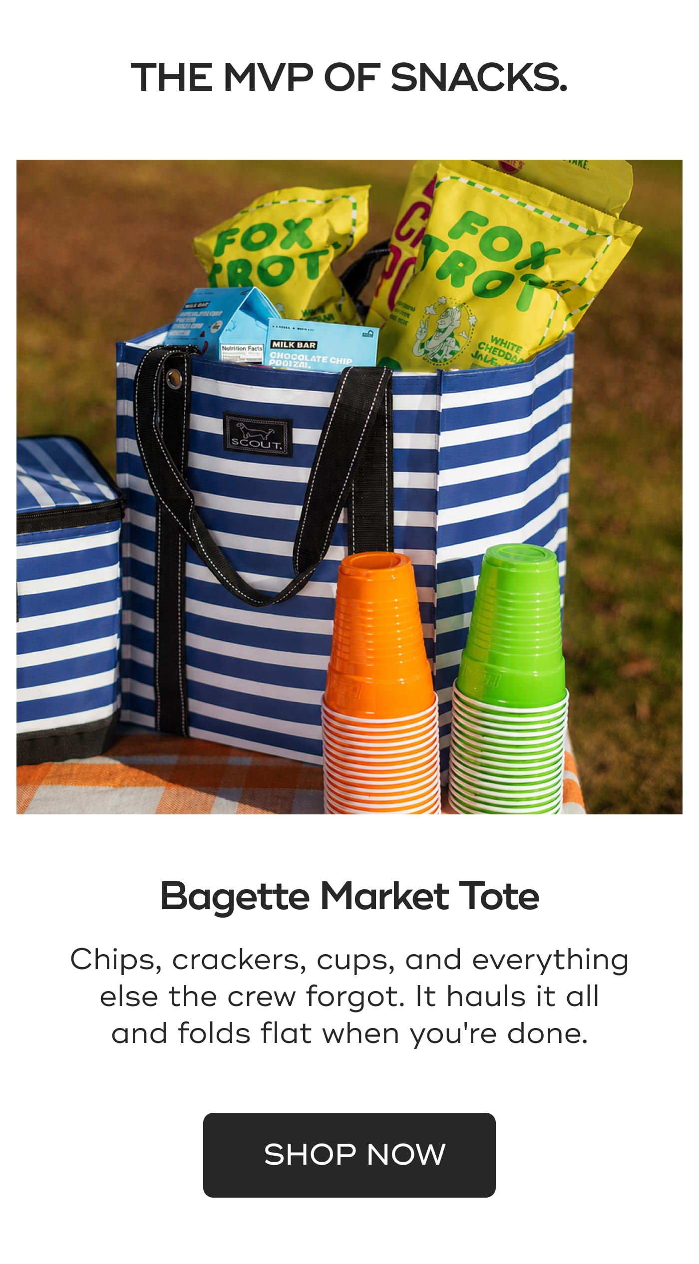 THE MVP OF SNACKS. Bagette Market Tote. Chips, crackers, cups, and everything else the crew forgot. It hauls it all and folds flat when you're done. SHOP NOW