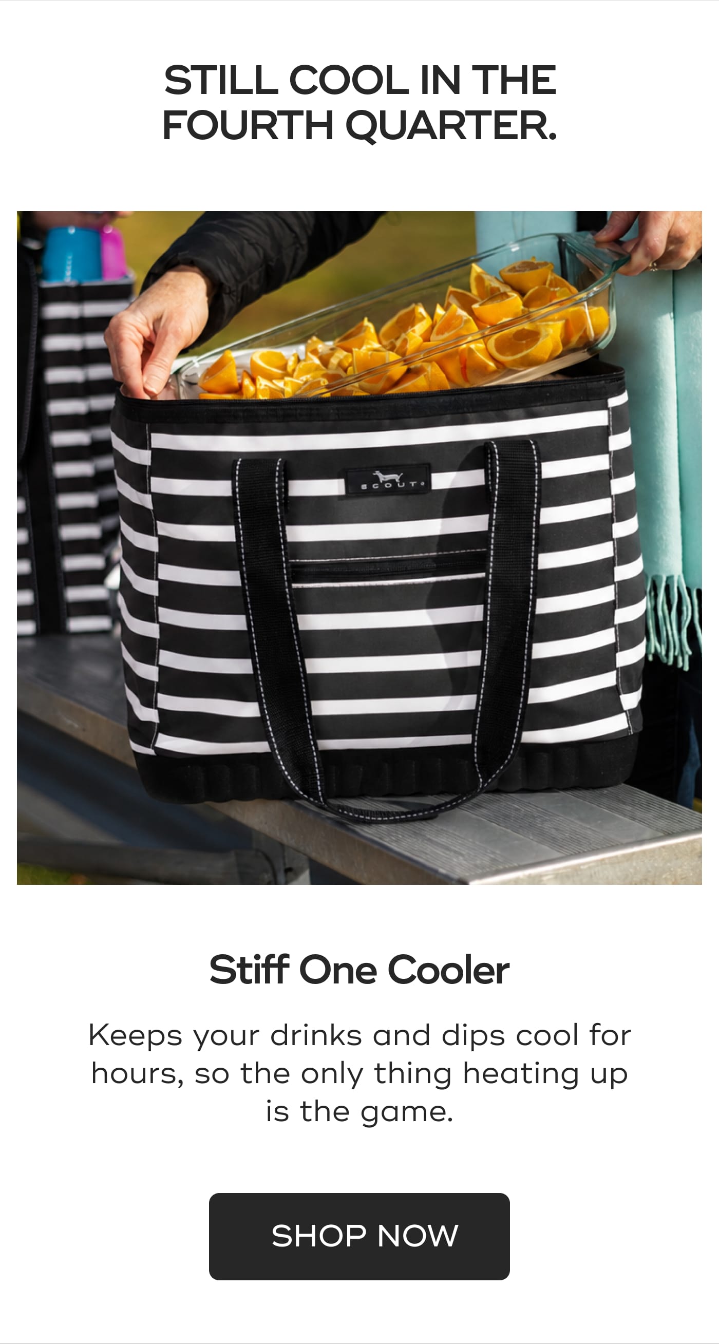 STILL COOL IN THE FOURTH QUARTER. Stiff One Cooler. Keeps your drinks and dips cool for hours, so the only thing heating up is the game. SHOP NOW