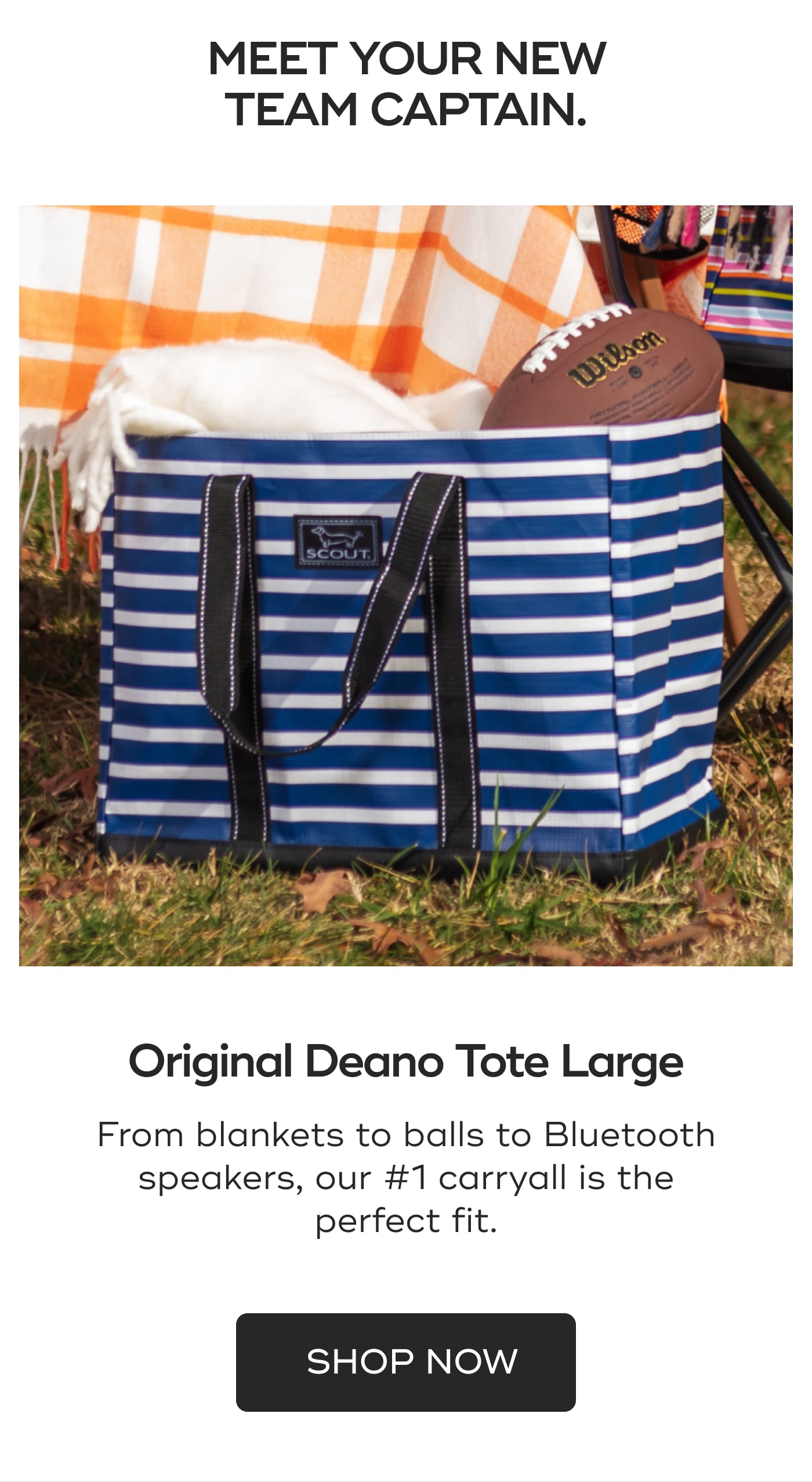 MEET YOUR NEW TEAM CAPTAIN. Original Deano Tote Large. From blankets to balls to Bluetooth speakers, our #1 carryall is the perfect fit. SHOP NOW