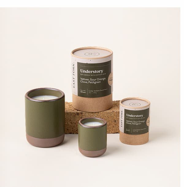 The Candle in Understory