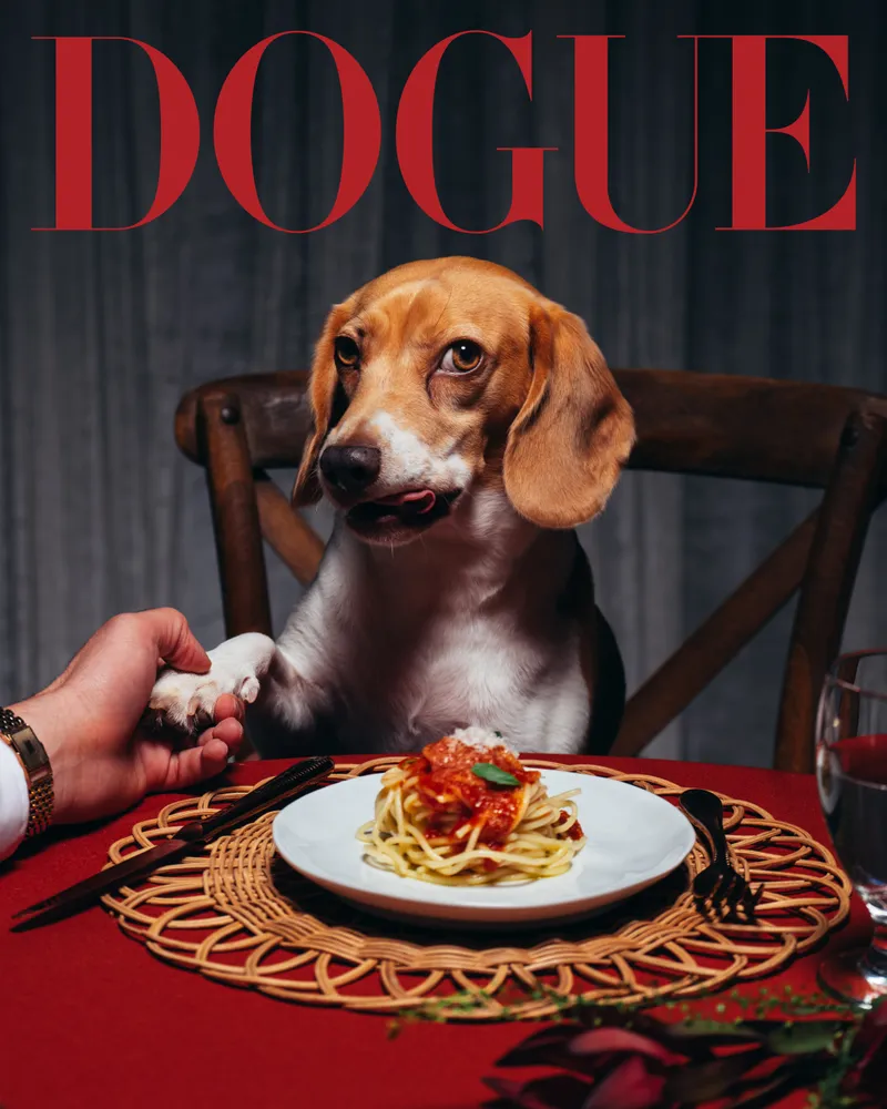 Image may contain: Food, Food Presentation, Animal, Canine, Dog, Mammal, Pet, Pasta, Spaghetti, Hound, Meal, and Publication
