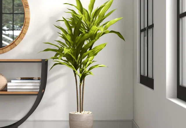 Weather-Proof Greenery
