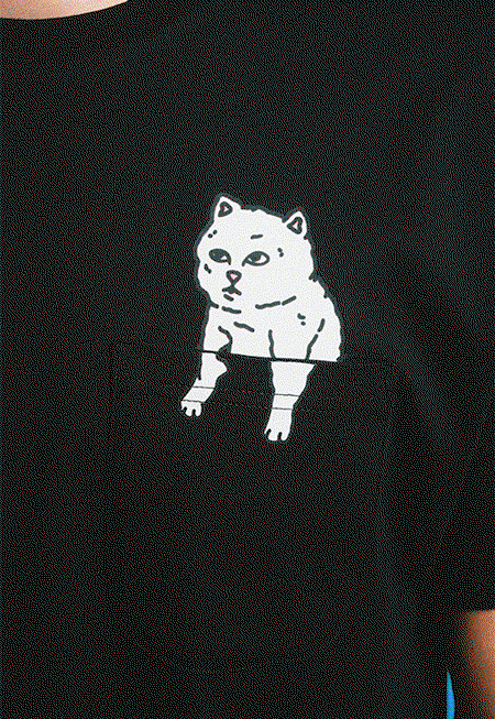 fall collection