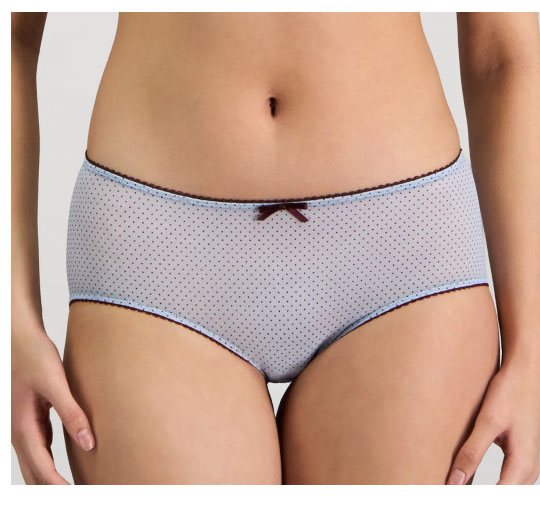 Harmony 2.0 Brief