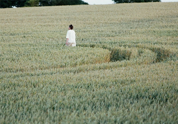 The Shape of the Harvest