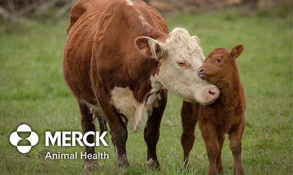 Merck Animal Health