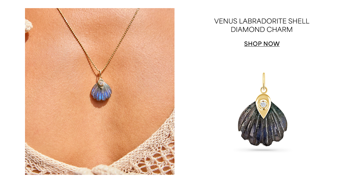 Venus Labradorite Shell Diamond Charm
