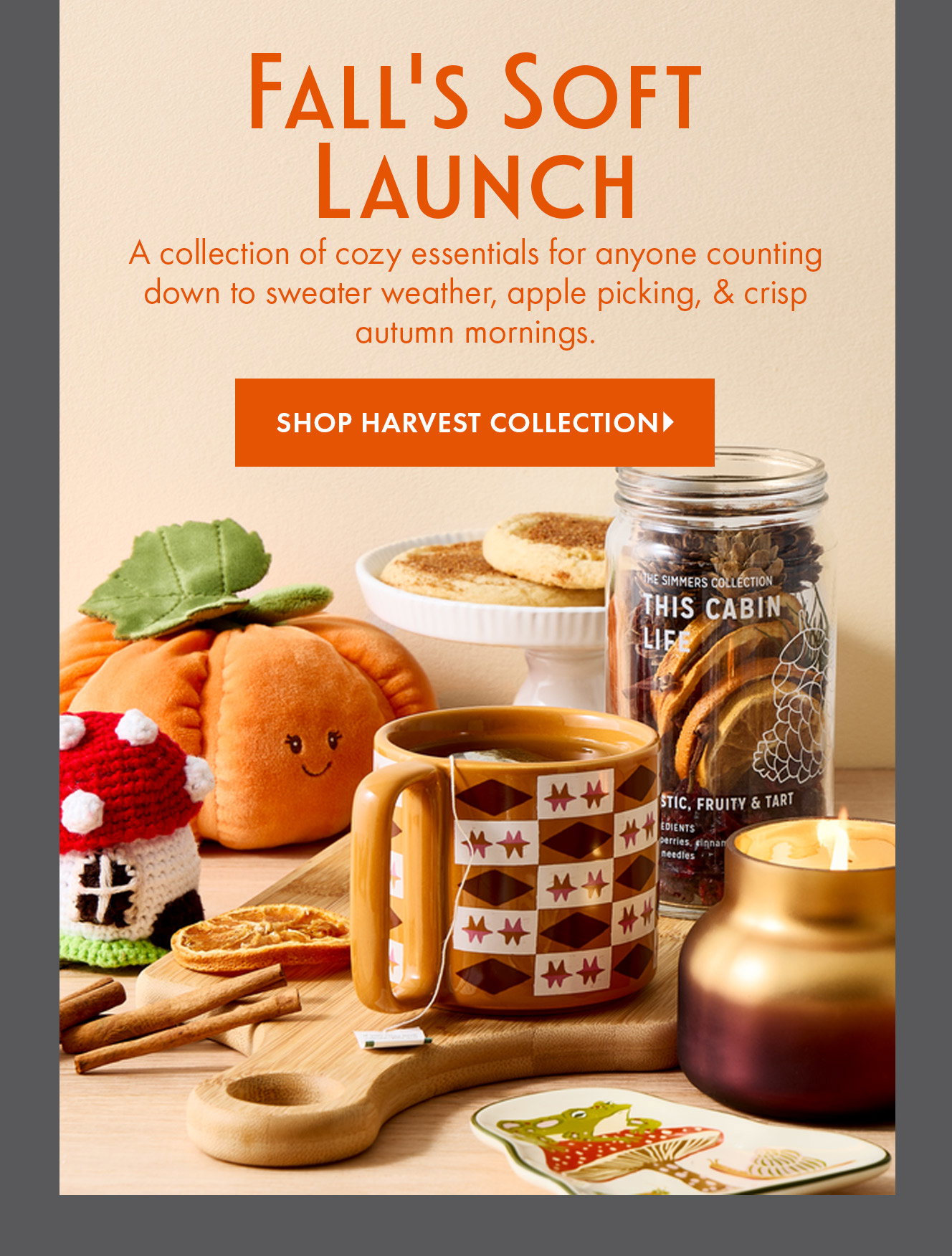 Fall & Thanksgiving Gift Ideas & Décor