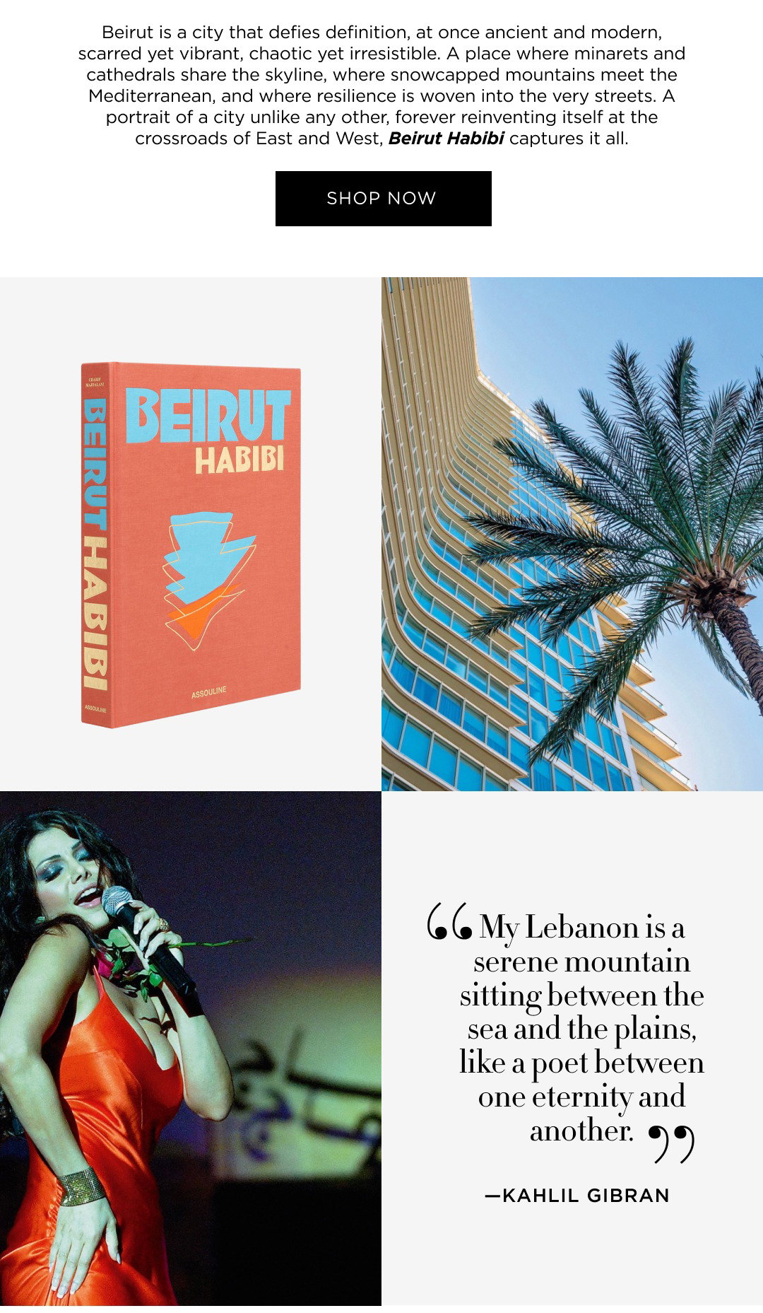 Beirut Habibi