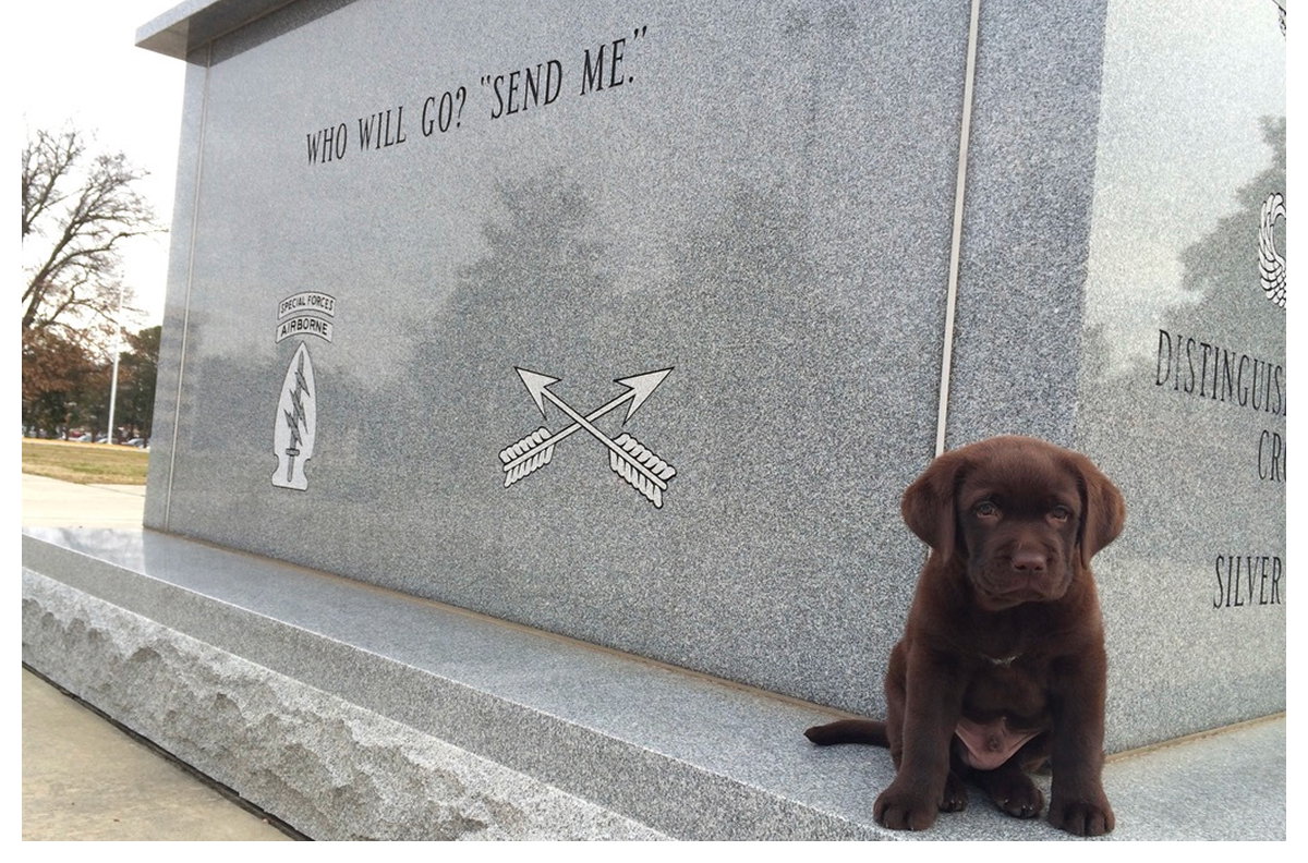 GORUCK Monster Forever Gallery