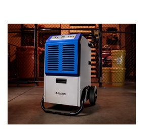 Shop Dehumidifiers Now