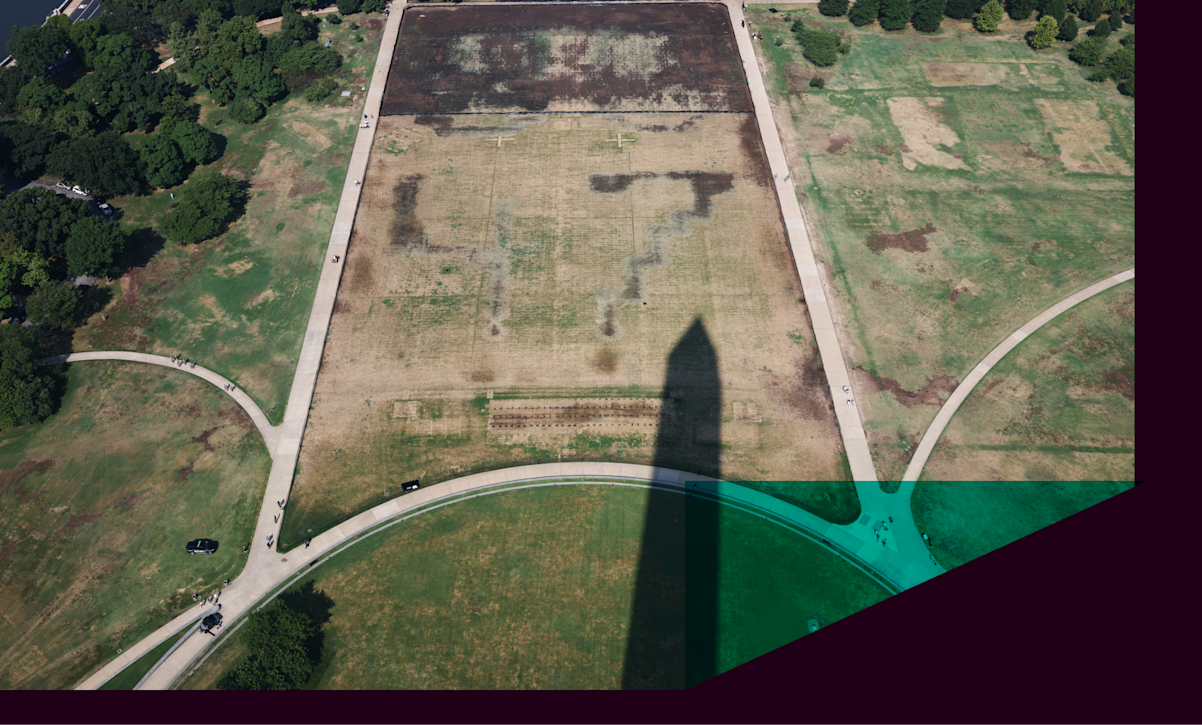 President Trump has accused vandals of damaging a patch of grass on the National Mall.