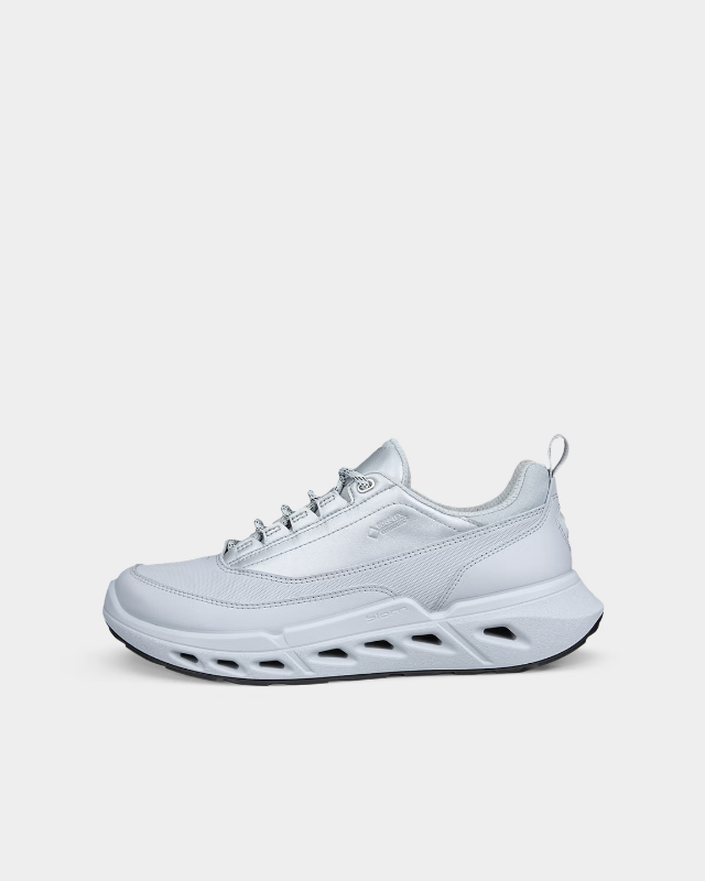 ECCO Biom 720 Gore-Tex