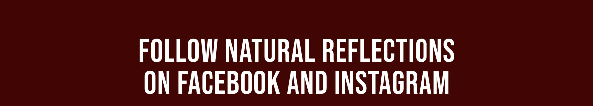 Natural Reflections Clearance 