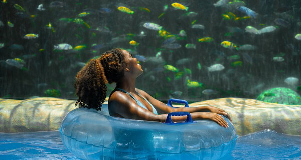 END OF SUMMER SALE! Save up to 59% on Aquatica Orlando Deals