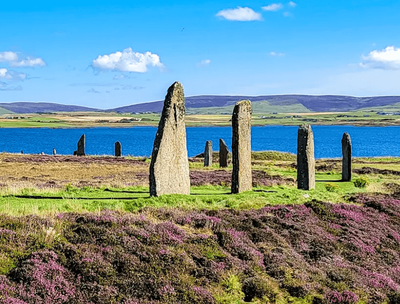 Standing stones in a grassy landscape with purple heather, overlooking a blue body of water.