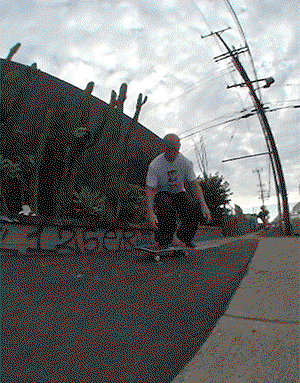 skate