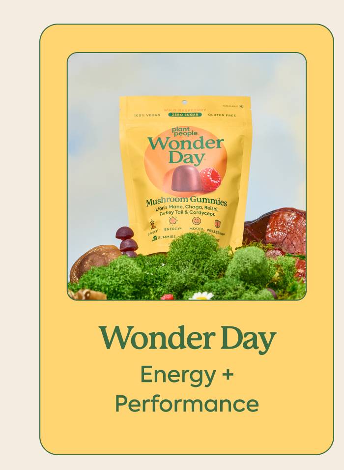 Energy + Performance (Wonder Day)