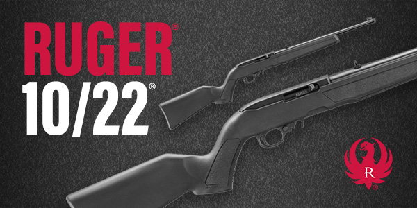 Ruger 10/22 on GunBroker.com