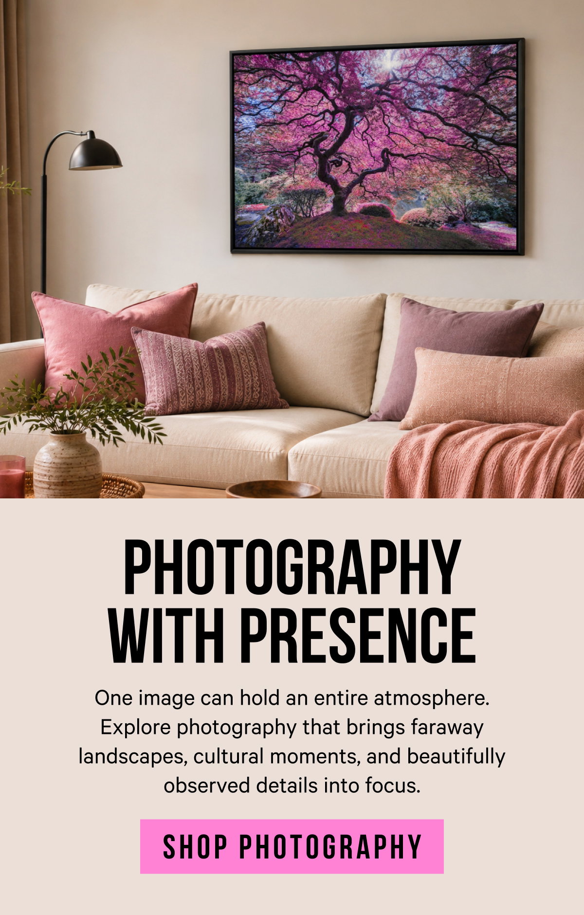 Photography With Presence: One image can hold an entire atmosphere. Explore photography that brings faraway landscapes, cultural moments, and beautifully observed details into focus.
