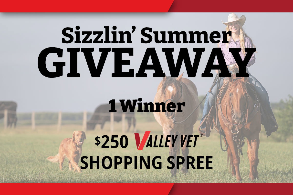 Sizzlin' Summer Giveaway - $250 Valley Vet Shopping Spree - Enter Now