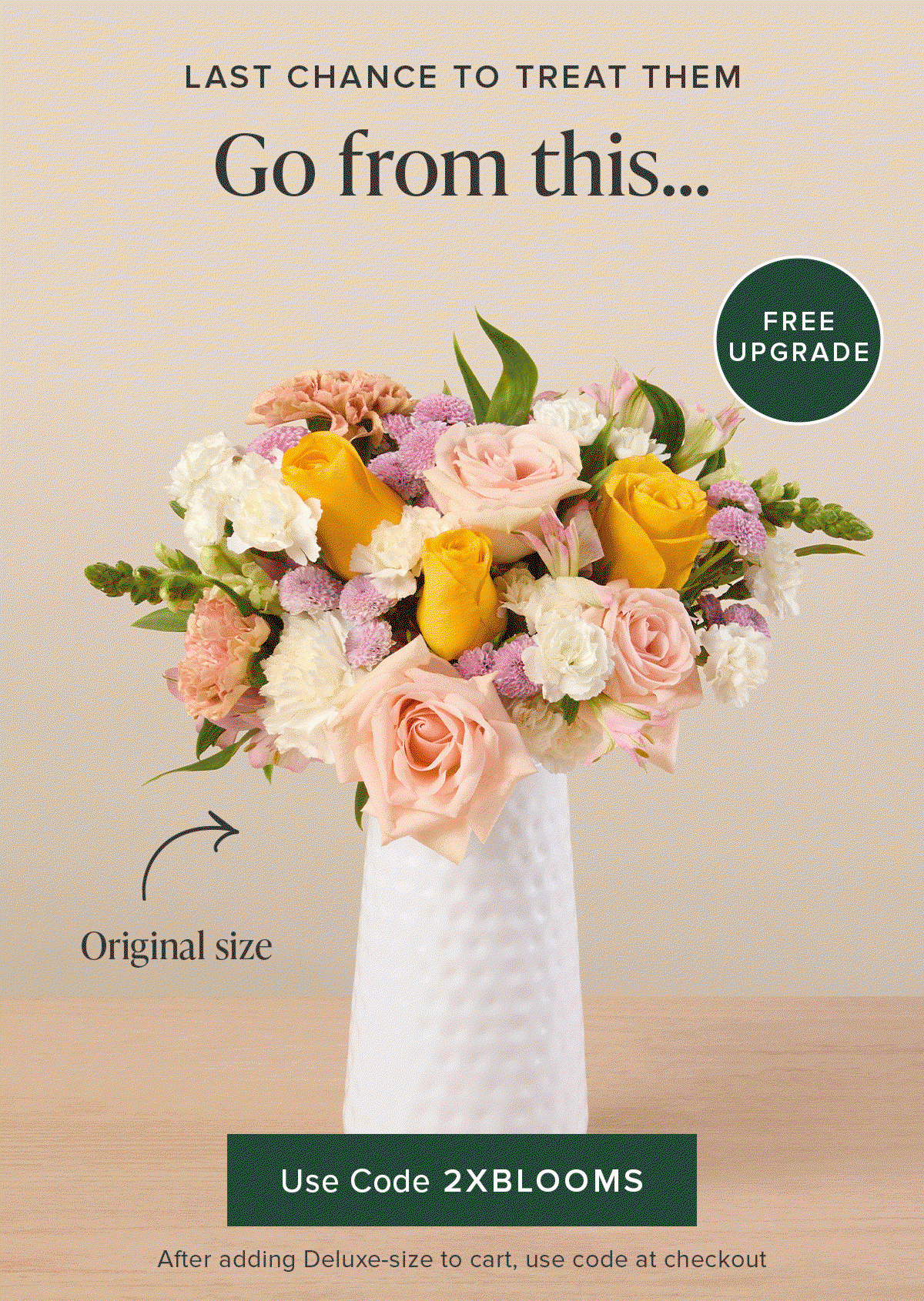 Last Chance to Treat Them. Go from an original size bouq to a deluxe size for FREE. Use code 2XBLOOMS at checkout. 