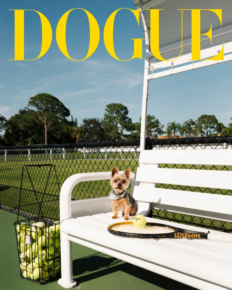 Image may contain: Ball, Sport, Tennis, Tennis Ball, Summer, Animal, Canine, Dog, Mammal, Pet, Racket, and Tennis Racket