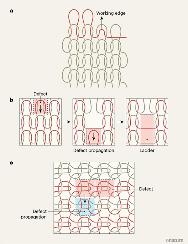 Diagram showing how defects propagate in knitted fabrics: a single missed stitch can unravel into a vertical ‘ladder’ of defects, whereas an alternative knit pattern confines defect propagation to a single row. 