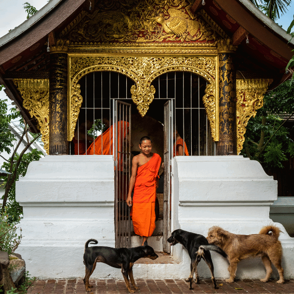 temple photo