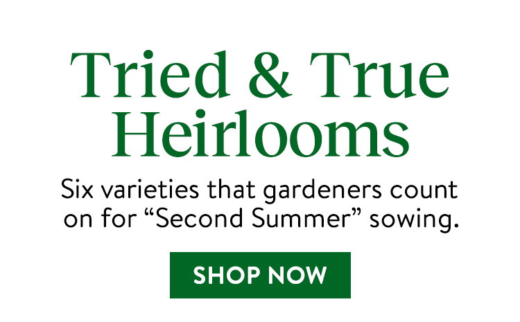 Heirloom Fall Harvest Vegetables