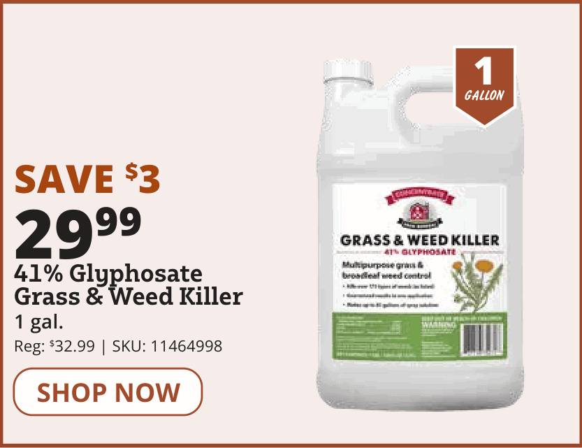 41% GLYPHOSATE