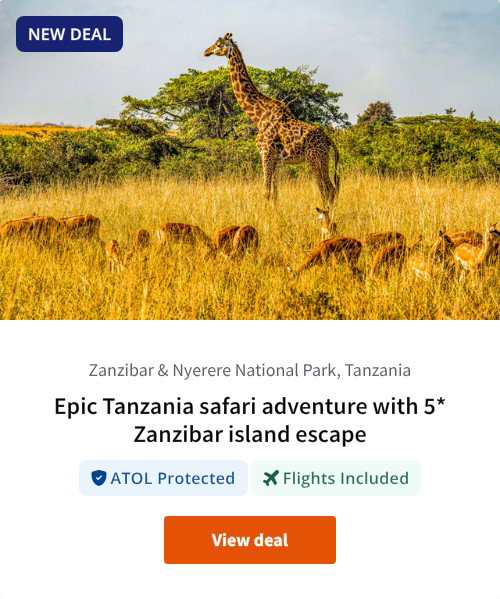 Epic Tanzania safari adventure with 5* Zanzibar island escape