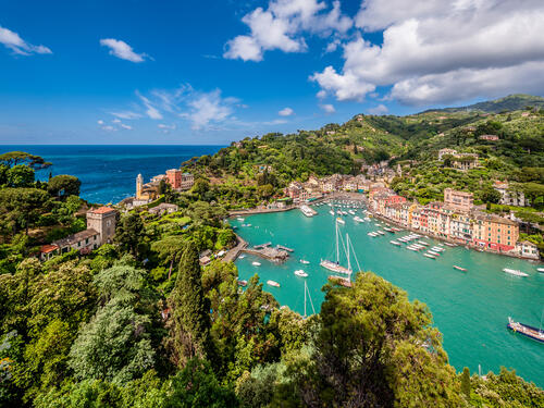 Europe Cruises