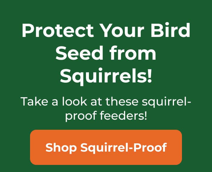 More Seed Reaches
