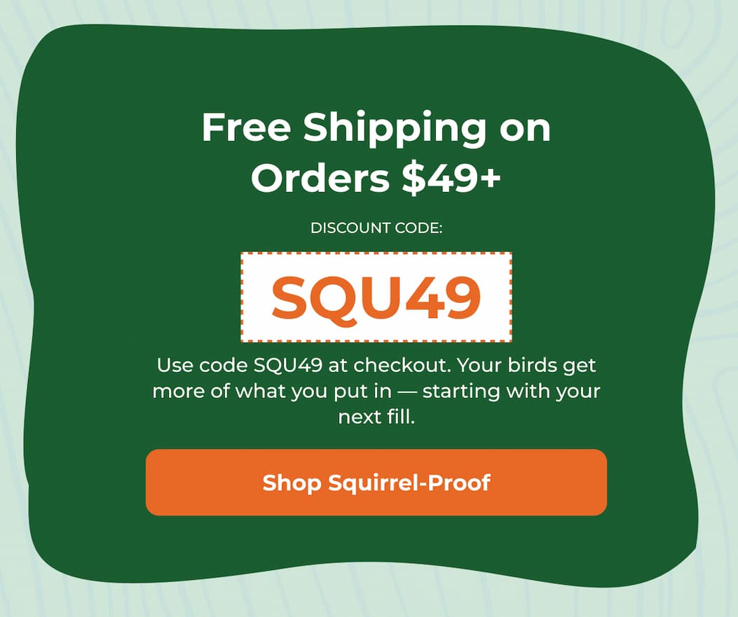 Free Shipping on Orders $49+