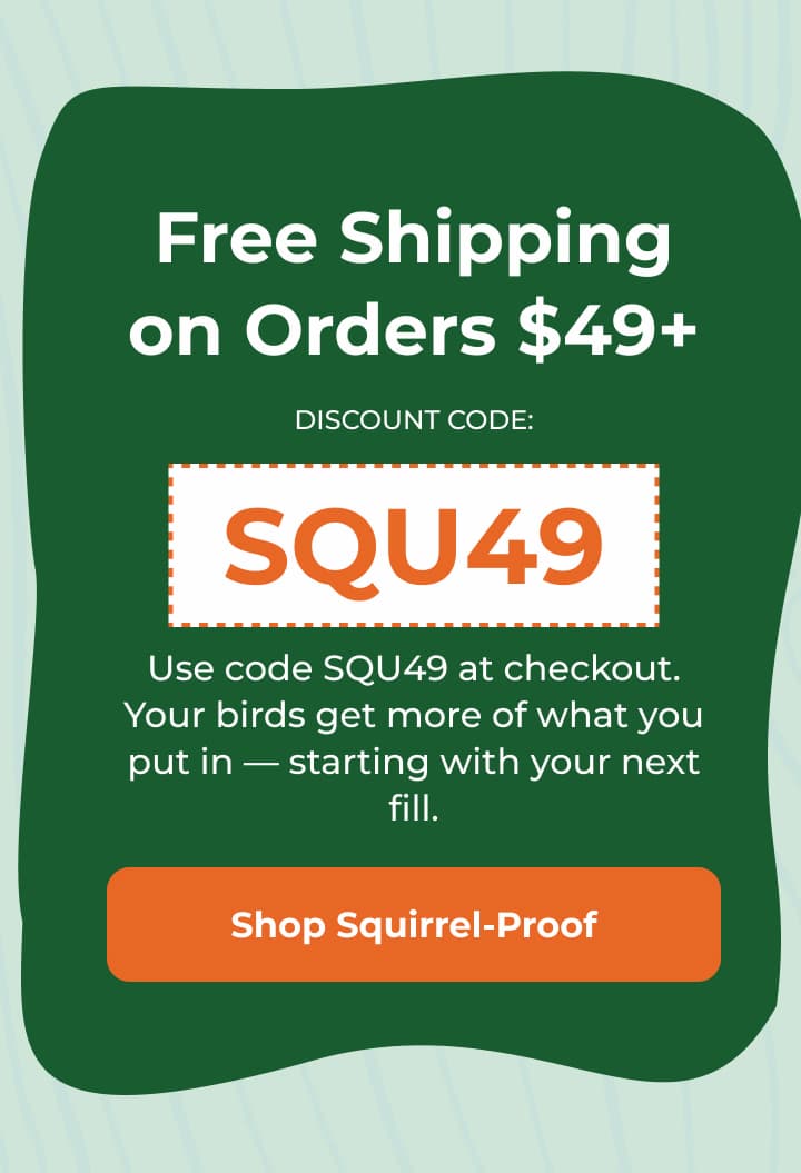 Free Shipping on Orders $49+