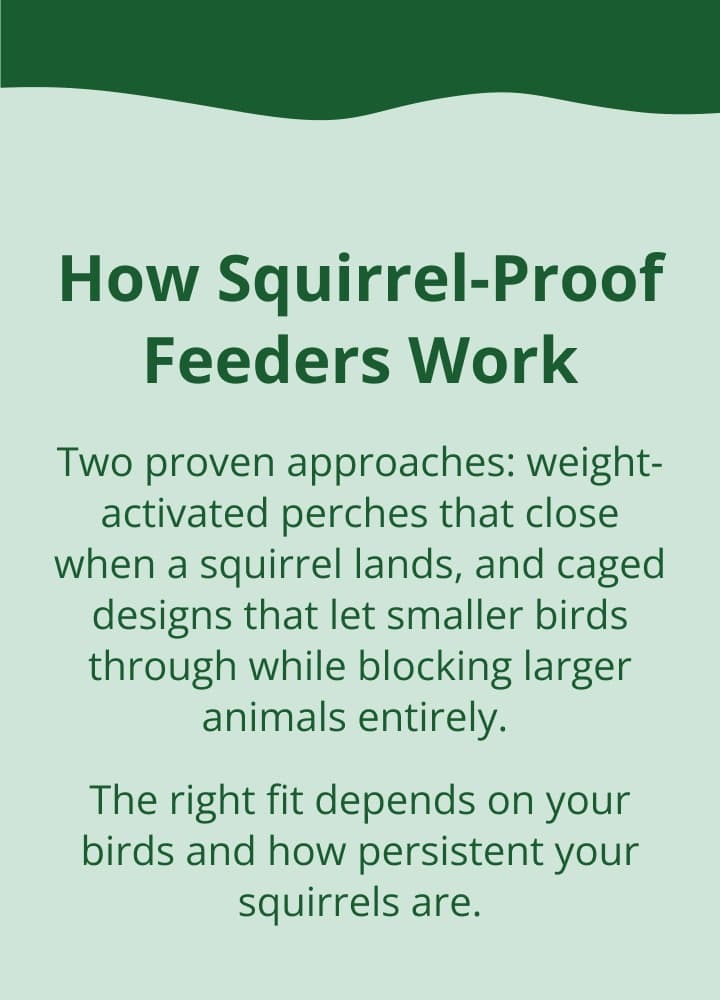 How Squirrel-Proof Feeders Work