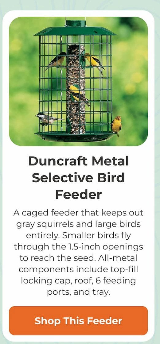 Duncraft Metal Selective Bird Feeder