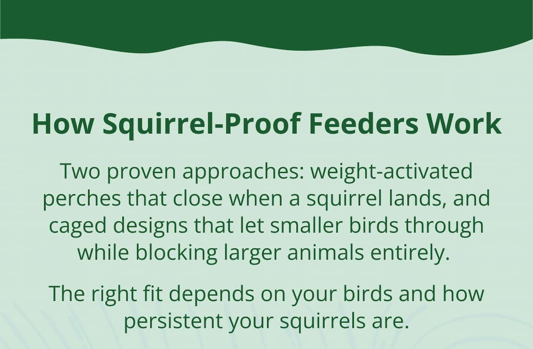How Squirrel-Proof Feeders Work