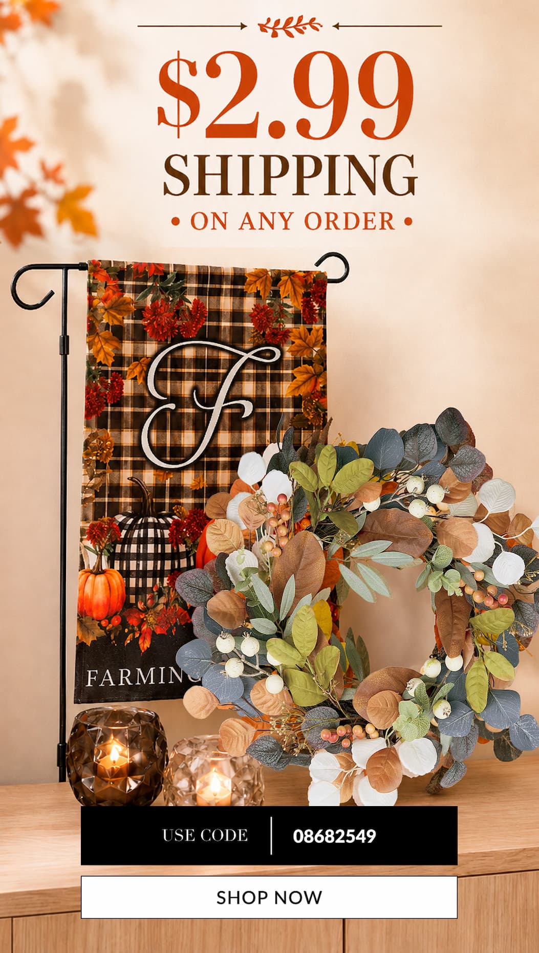 $2.99 shipping on any order