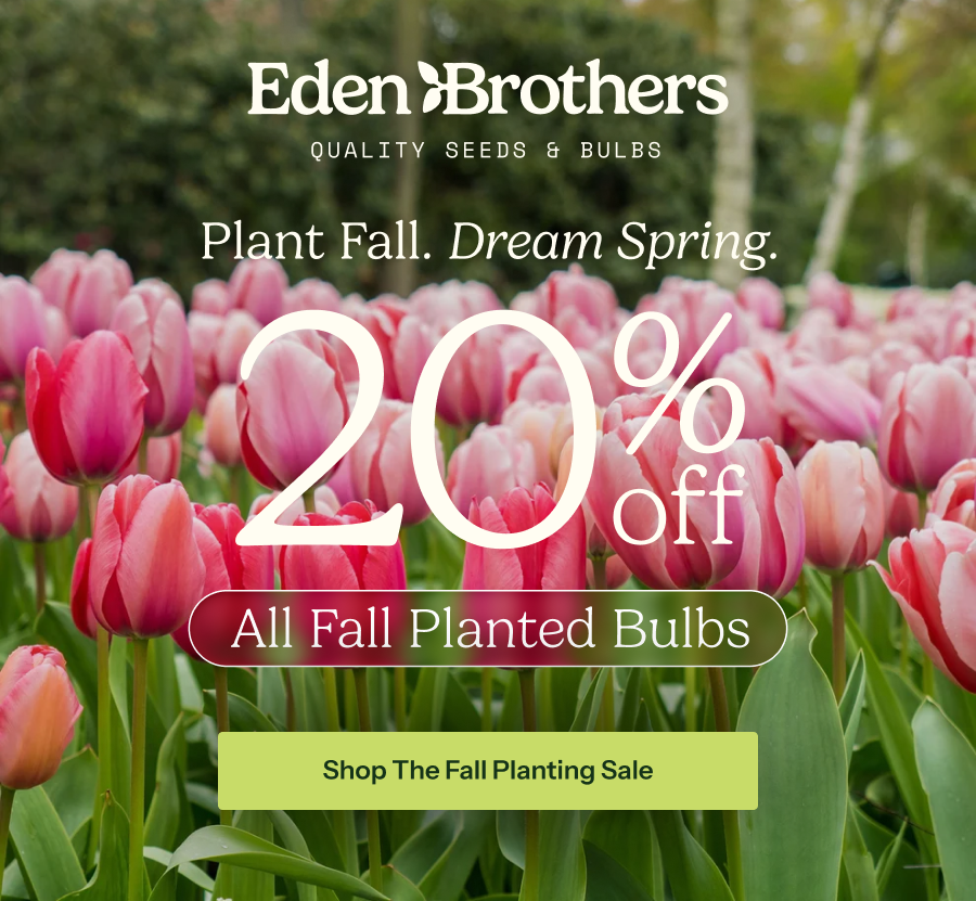 20% Off Fall Bulbs - PLUS, TAKE AN EXTRA 10% OFF FOR BEING A VIP SUBSCRIBER