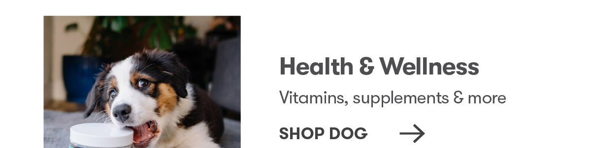 Shop Dog Health & Wellness