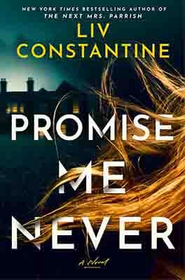 Promise Me Never: A Novel