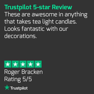 Trust Pilot Review