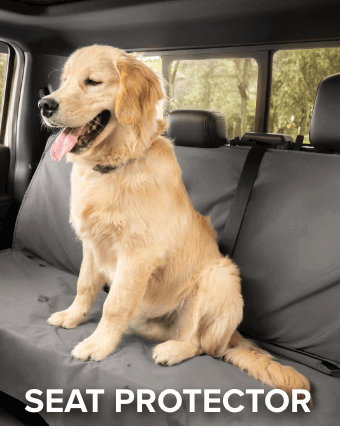 Seat Protector Image