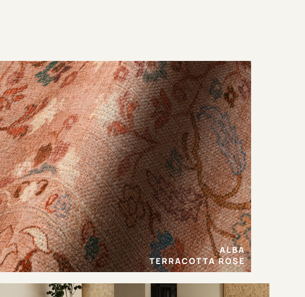 Alba Terracotta Rose