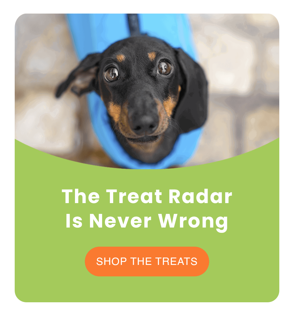 The Treat Radar Is Never Wrong