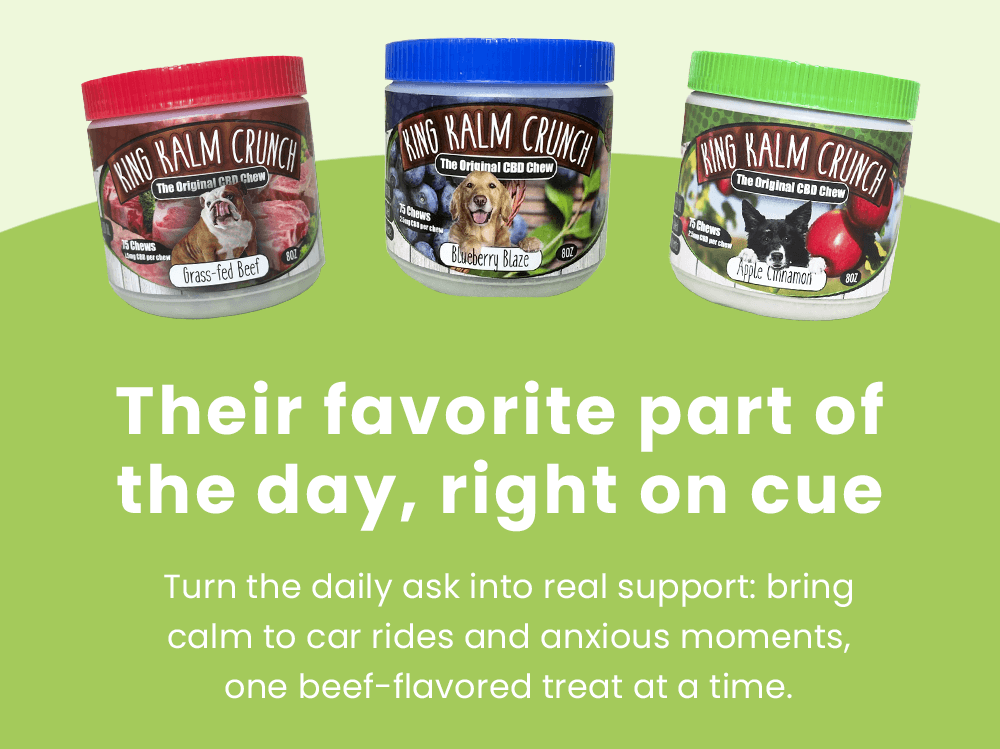 Their favorite part of  the day, right on cue 🐾  Turn the daily ask into real support: bring calm to car rides and anxious moments, one beef-flavored treat at a time.