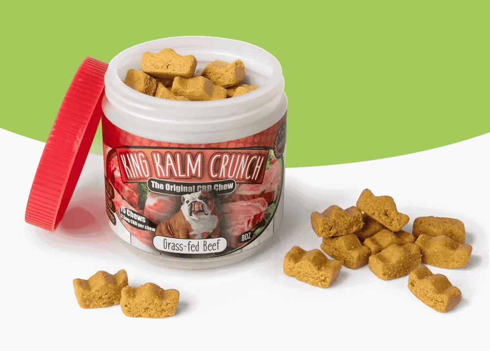 The Muddy Adventurer: Grooming and paw care to undo the damage.