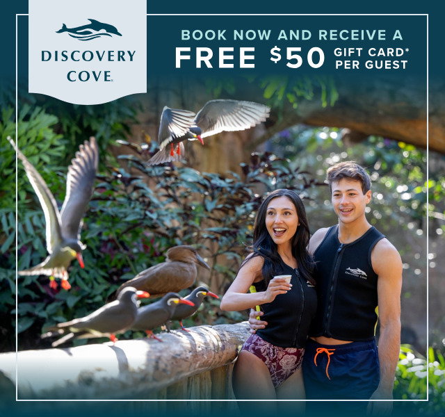 Plan your visit to Discovery Cove